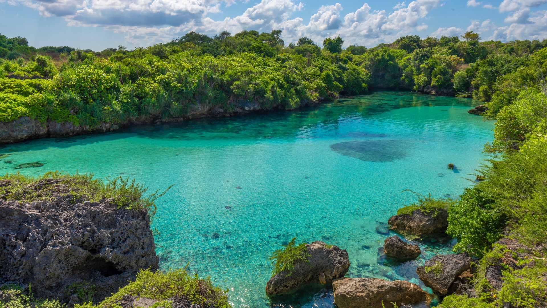 A turquoise lagoon ringed by rocks and greenery