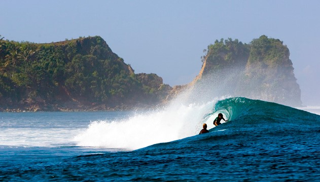 Surfers riding a turquoise wave in front of forested headlands