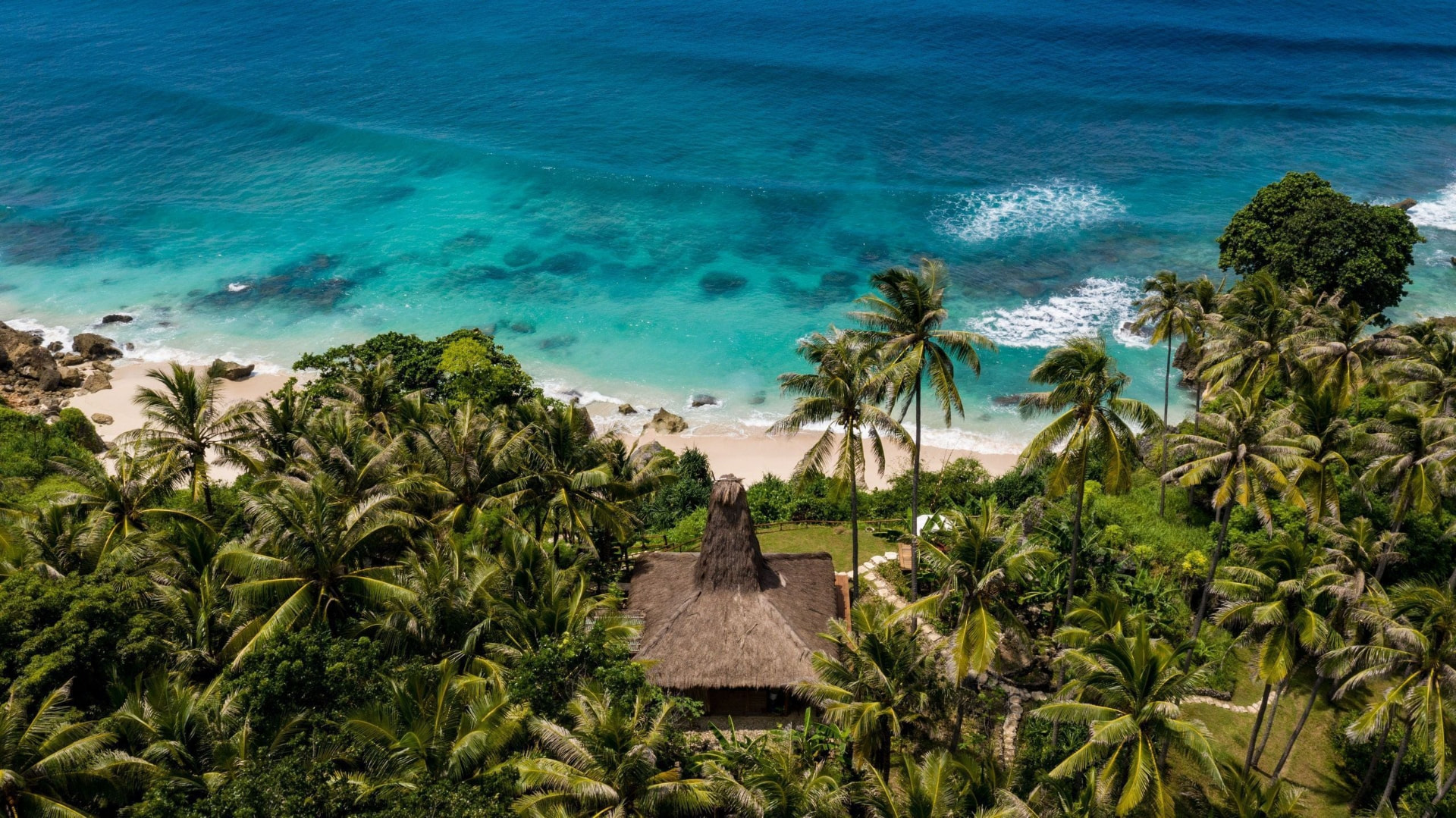 Aerial view of palm trees and a thatched roof above a turquoise bay